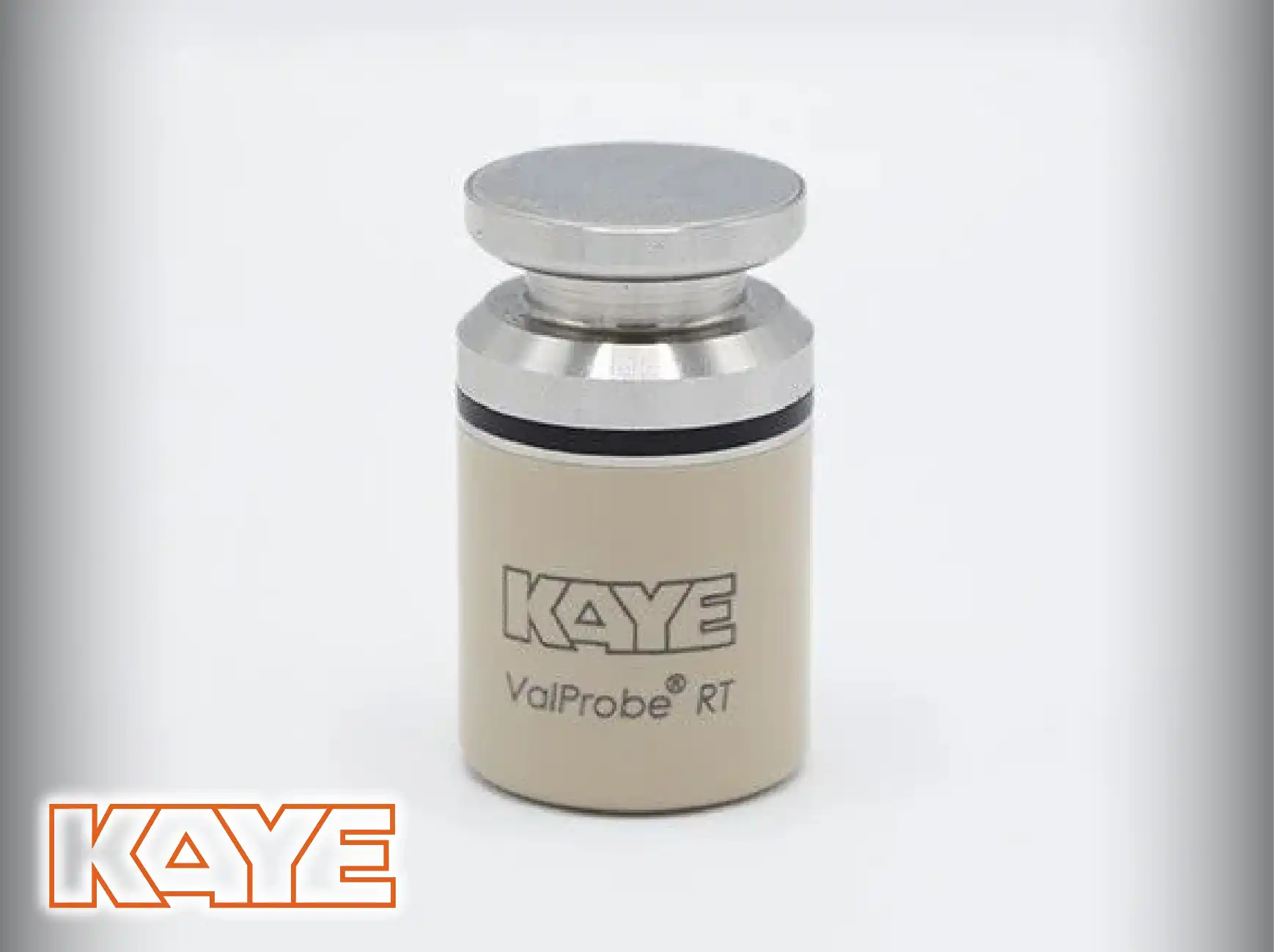 KAYE Wireless (RF) ValProbe RT System.
